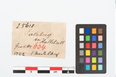 Etikett zu Bronzemehrkopfnadel (NHMW-PRAE-025618)